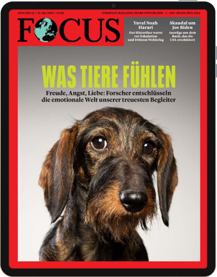 FOCUS 22/2025 E-Paper 