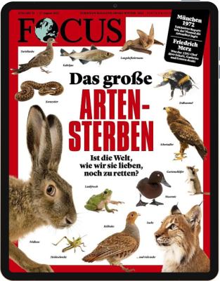 FOCUS 35/2022 E-Paper 