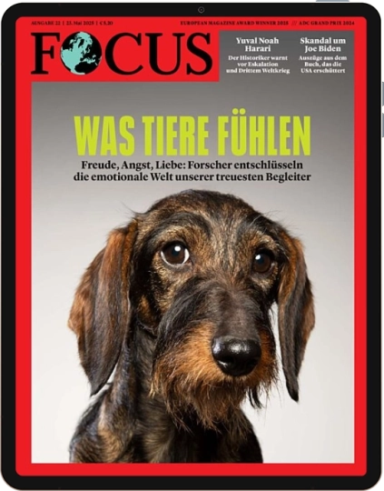FOCUS 22/2025 E-Paper