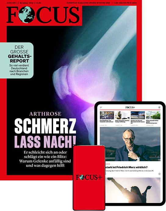 FOCUS - aktuelle Ausgabe